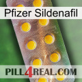 Pfizer Sildenafil new11